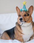 Barkday Hat | Mint Green