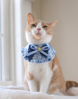 Pet Bib |Spring Azure