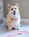 Slip-on Leashes | Rosy