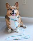 Slip-on Leashes | Breezy Blue