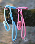 Slip-on Leashes | Rosy
