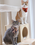 Scout Bandana | Cozy Cafe