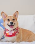 Pet Bib | Sakura Blossom Kimono