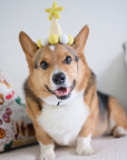 Barkday Hat | Lemon Yellow