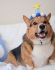 Barkday Hat | Sky Blue