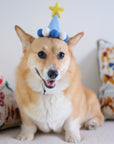 Barkday Hat | Sky Blue