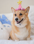 Barkday Hat | Taffy Pink
