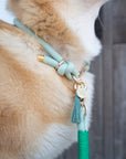 Rope Collar | Mint Green