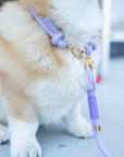Rope Collar | Lavender Dream