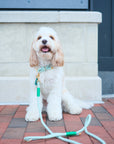 Rope Leash | Mint Green