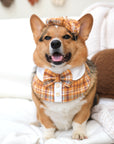 Pet Bib | Butterscotch (with beret)