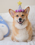 Barkday Hat | Lilac Purple