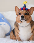 Barkday Hat | Azure Blue