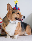 Barkday Hat | Azure Blue