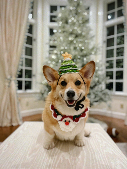 Christmas Tree Hat