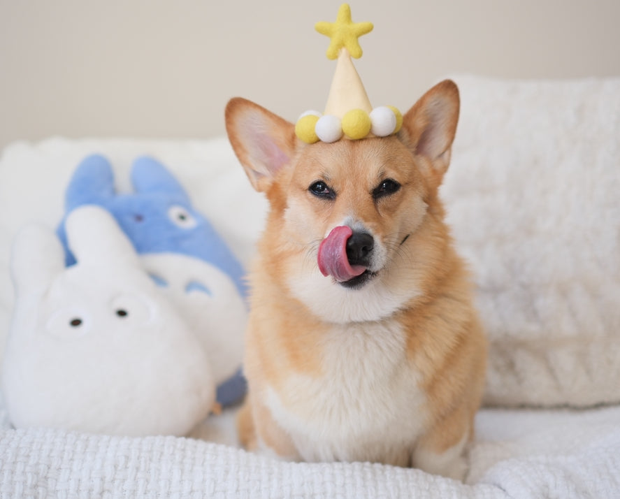 Lemon Yellow Birthday Hat