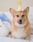 Barkday Hat | Lemon Yellow