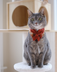 Scout Bandana | Autumn Ember