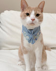 Scouts Bandana | Spring & Lemon