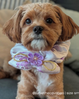 Mid Autumn Pet Scarf