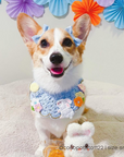 Crochet | Hopping Bunny (BLUE)