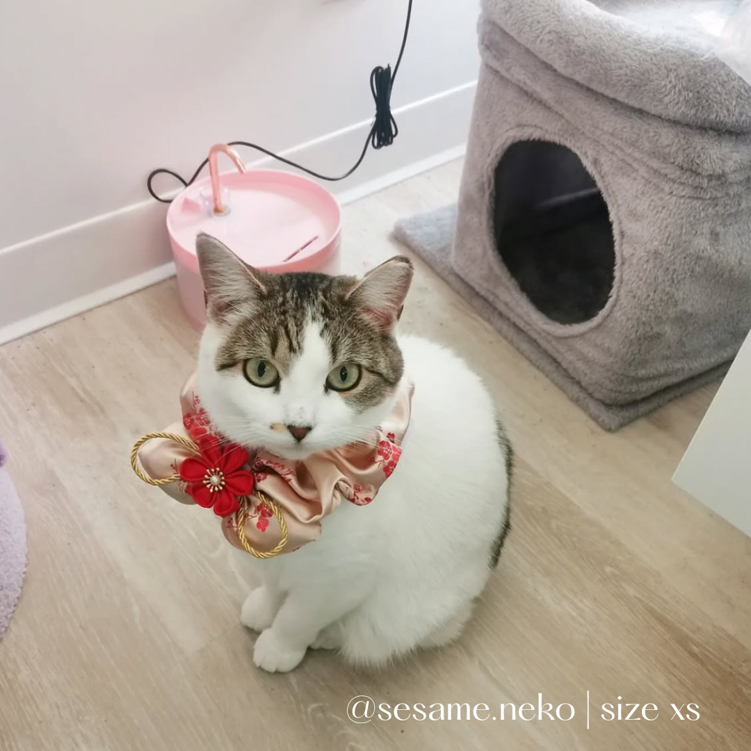 Mid Autumn Pet Scarf