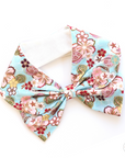 Sailor Dana | Mizu-hana
