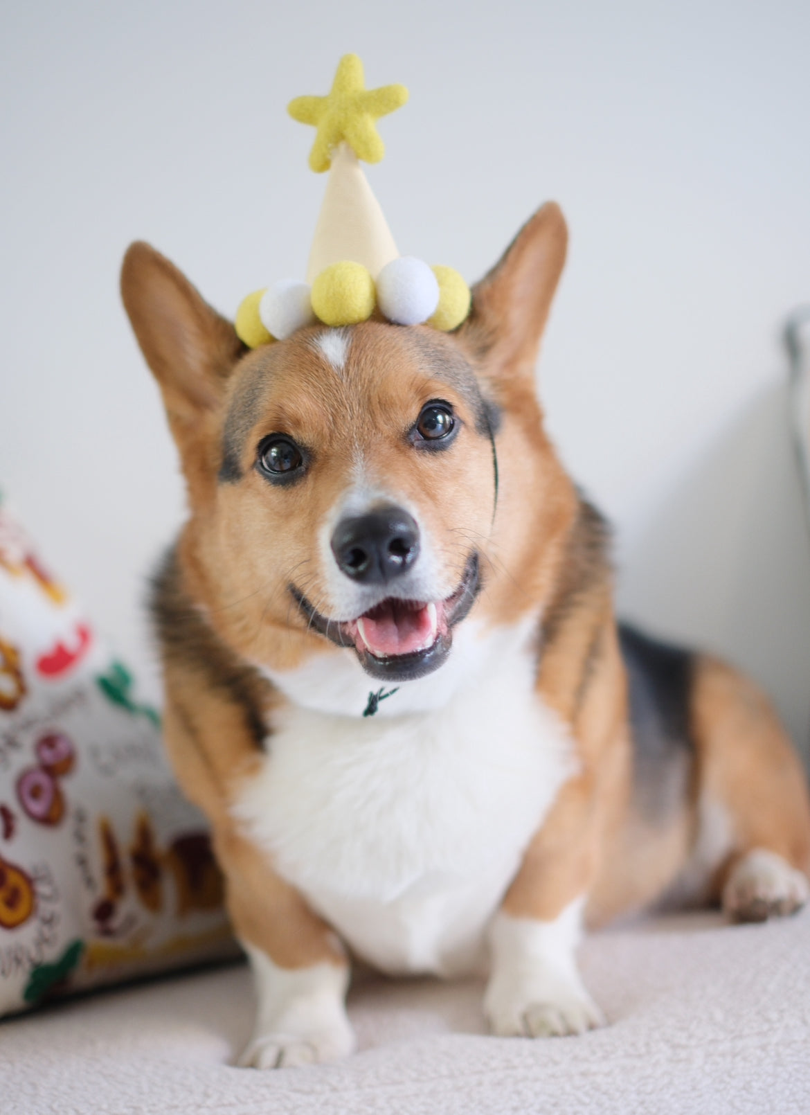 Lemon Yellow Birthday Hat