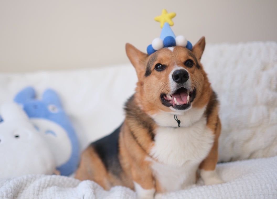 Sky Blue Birthday Hat