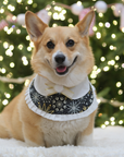Pet Bib |New Year Eve