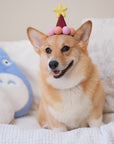Barkday Hat | Wine Red