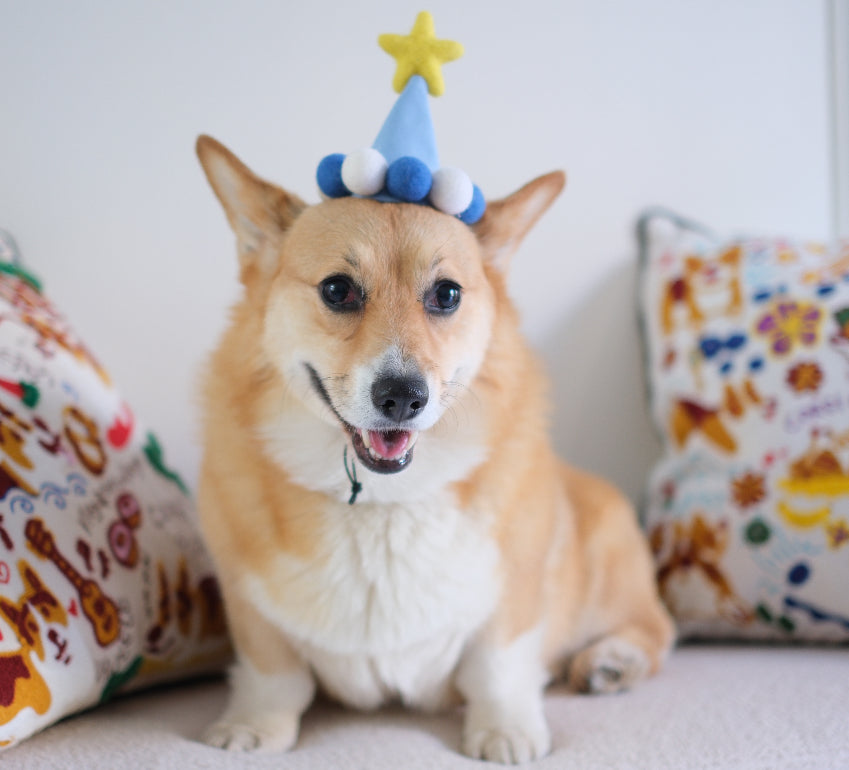 Sky Blue Birthday Hat