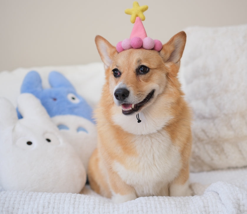 Taffy Pink Birthday Hat