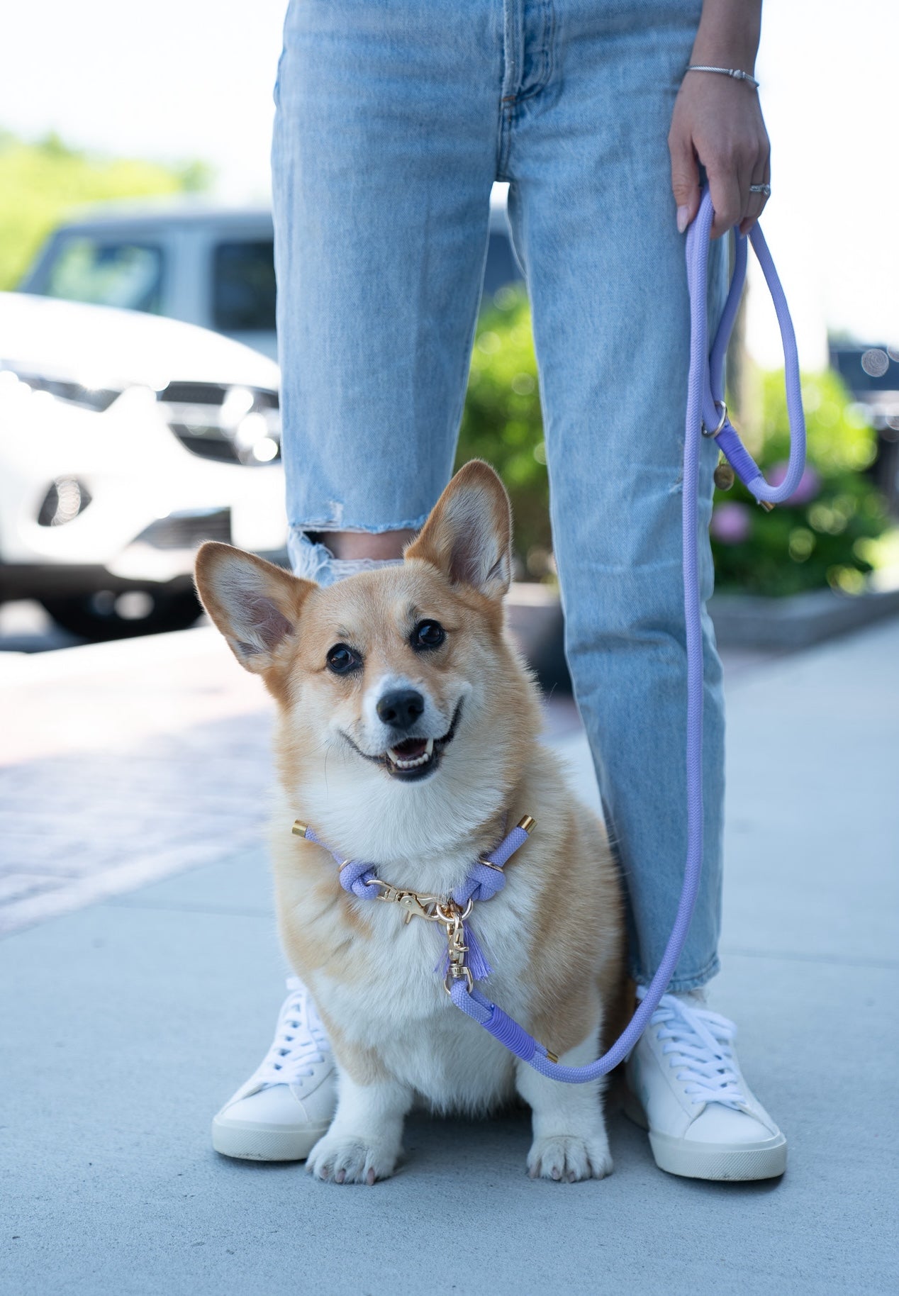 Rope Leash | Lavender Dream