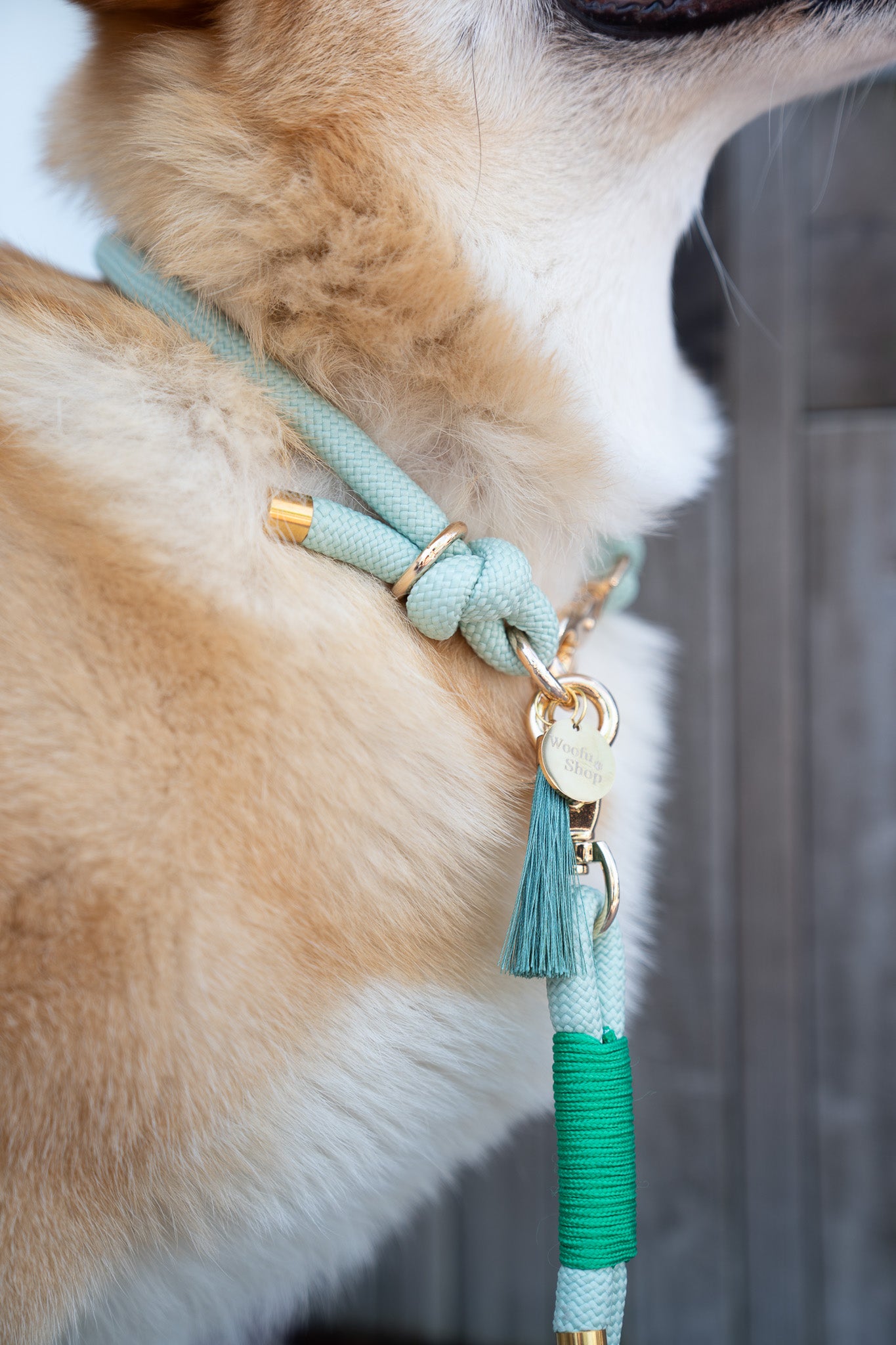 Rope Collar | Mint Green