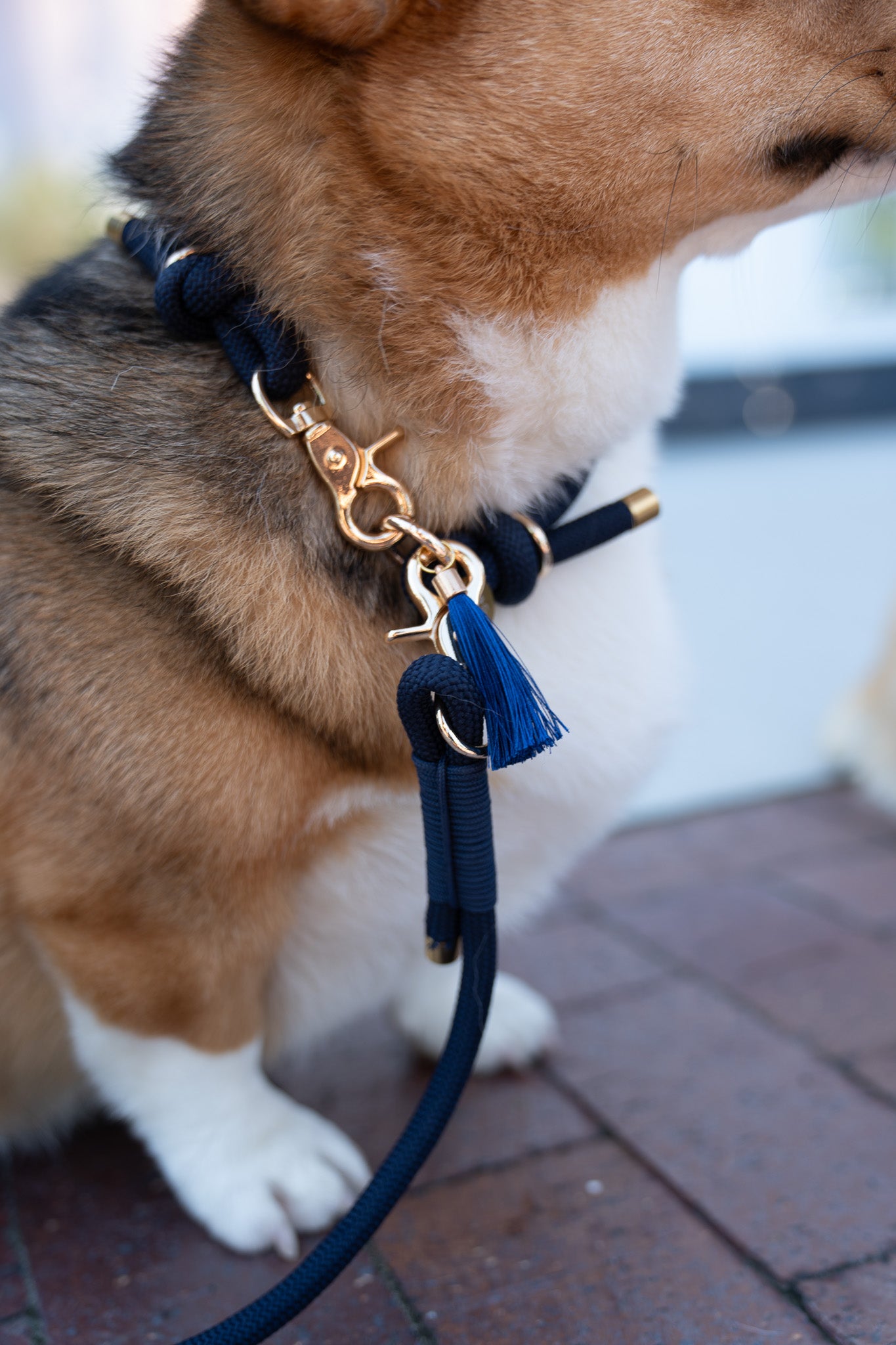 Rope Collar | Navy Blue