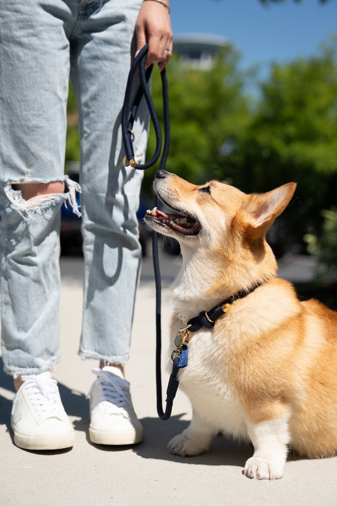 Rope Leash | Navy Blue