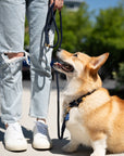 Rope Leash | Navy Blue