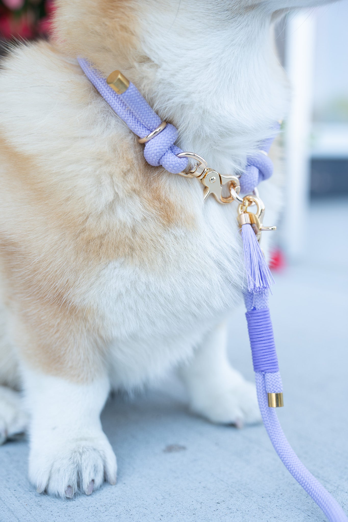 Rope Collar | Lavender Dream