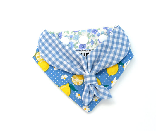 Scouts Bandana | Spring & Lemon