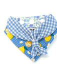 Scouts Bandana | Spring & Lemon