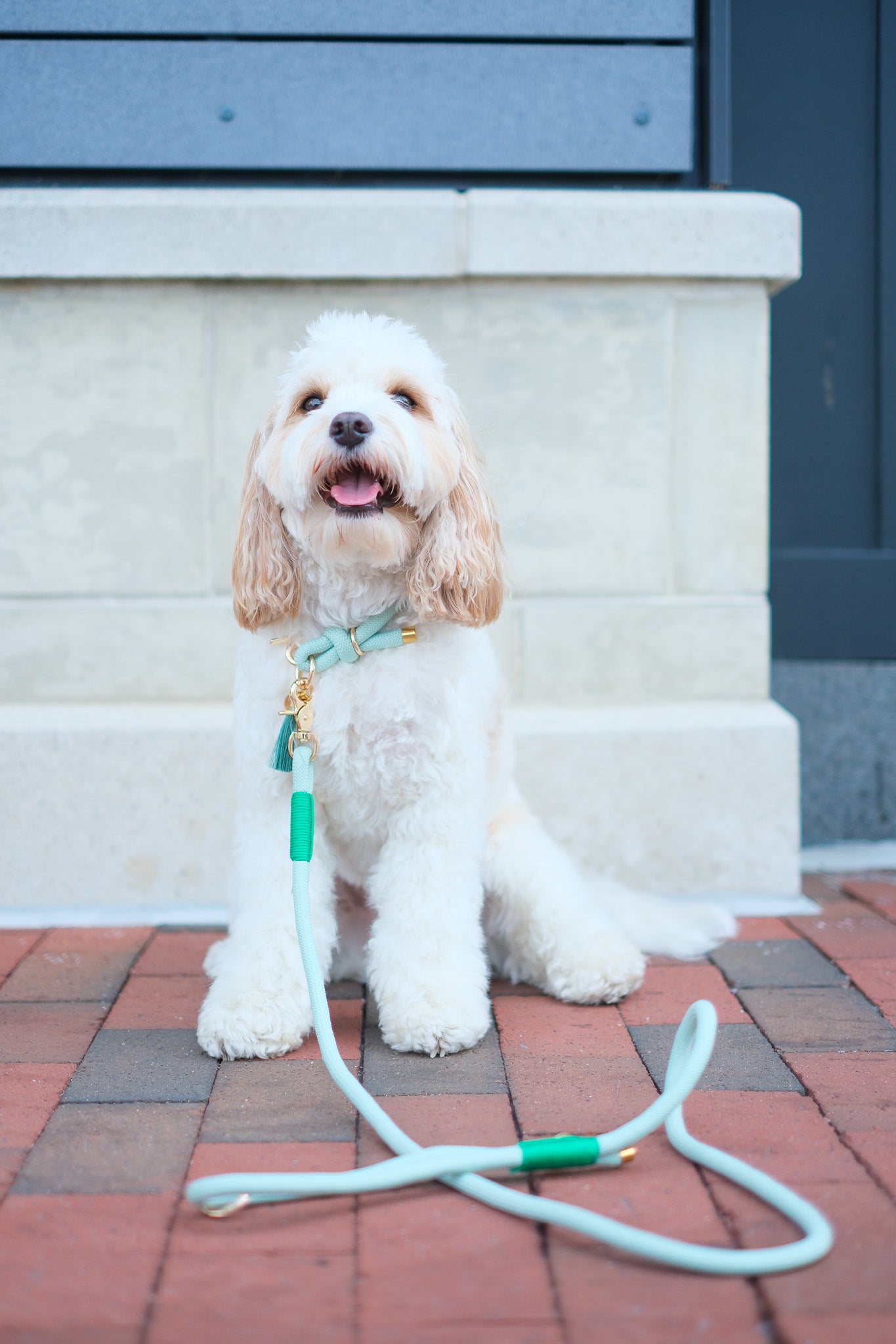 Rope Leash | Mint Green