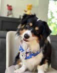Scouts Bandana | All American Pup