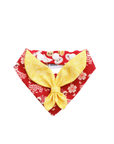 Scout Bandana | Fortune Feast