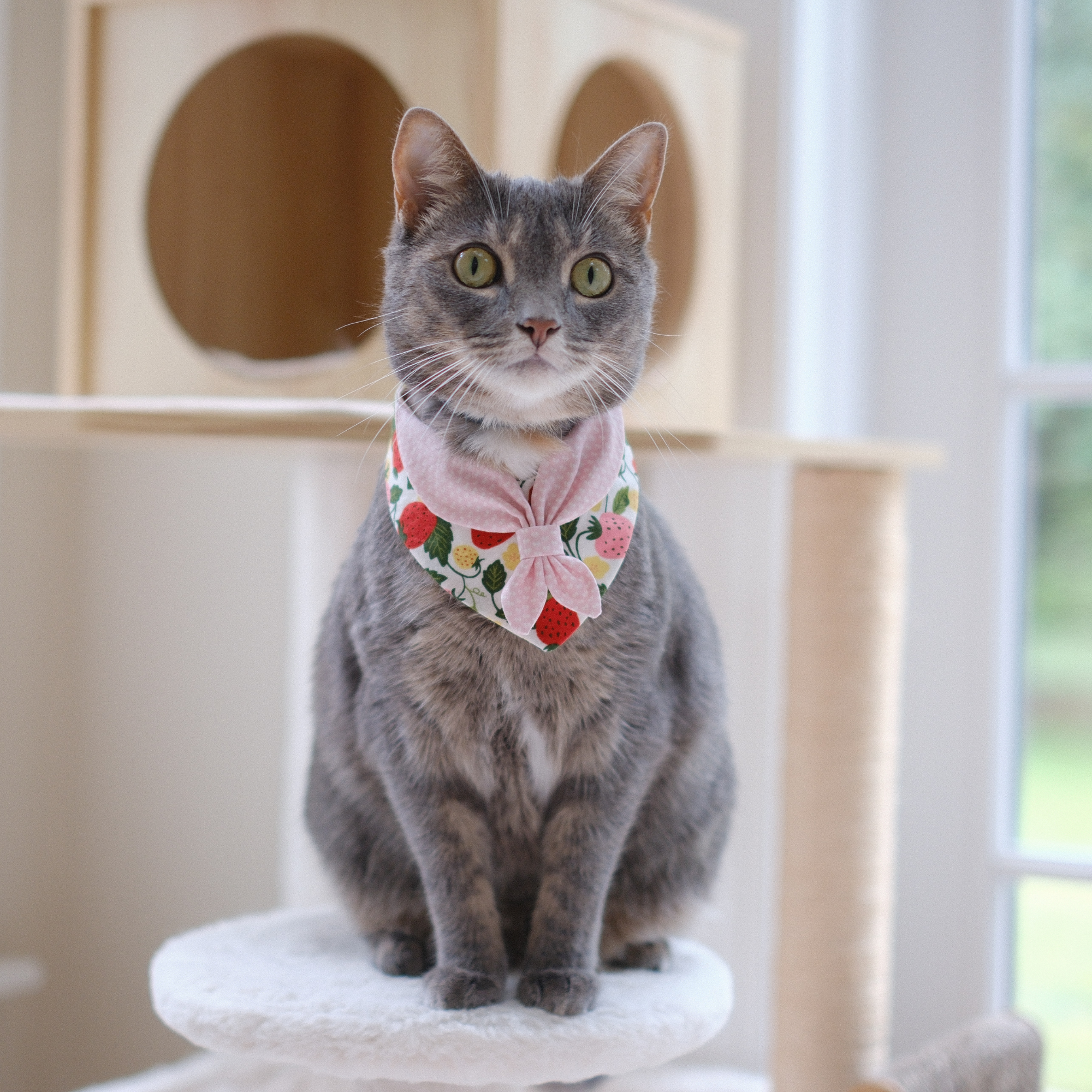 Socut Bandana | Sweetheart Patch