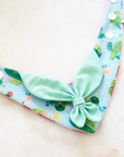 Scout Bandana | Melon & Cactus