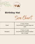Barkday Hat | Lemon Yellow
