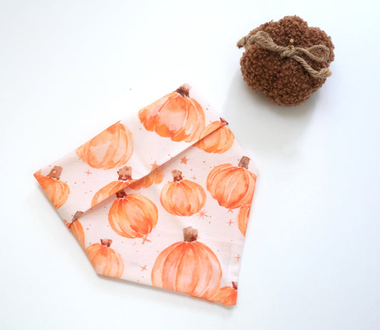 Bandana | Pumpkin Pooch