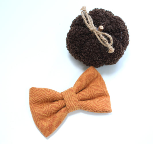 Bow Tie | Pumpkin Pie